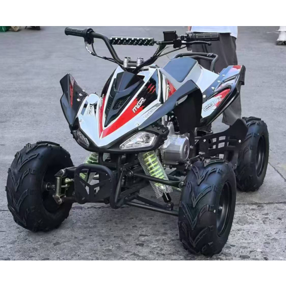 Gasoline Model ATV 01