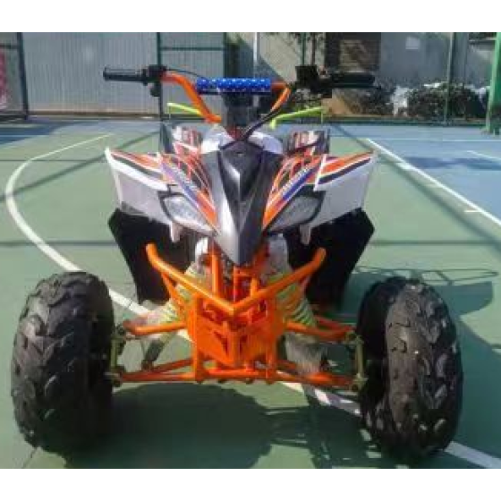 Gasoline Model ATV 02