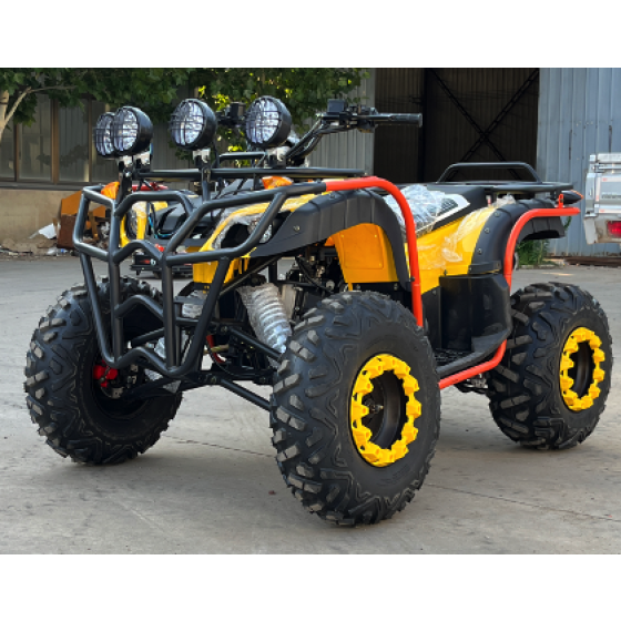 Gasoline Model ATV 03
