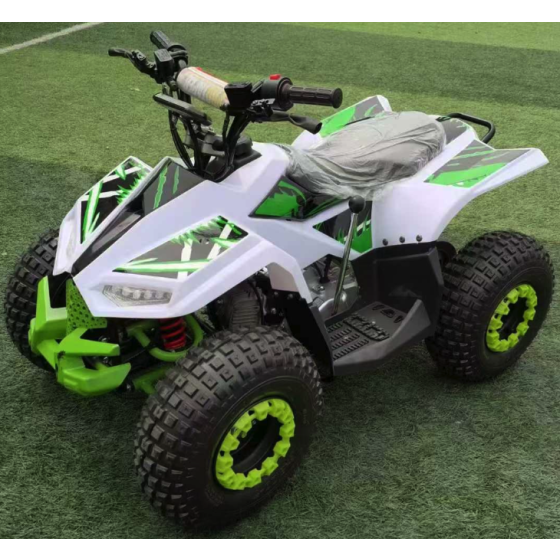 Gasoline Model ATV 04