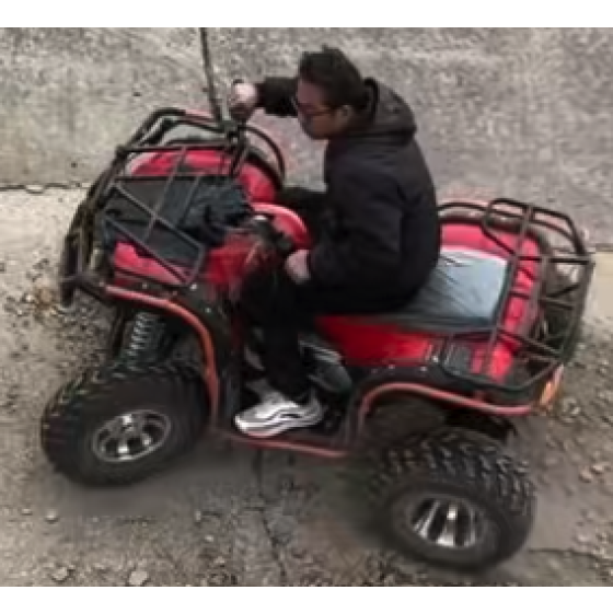 Gasoline Model ATV 05