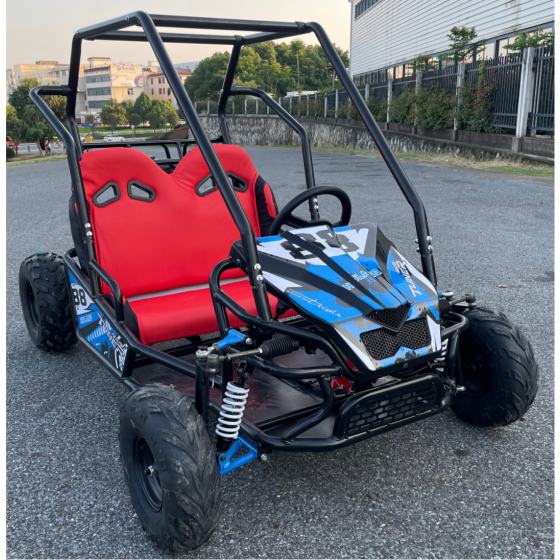 Gasoline Powered Parent-Child Go-Kart